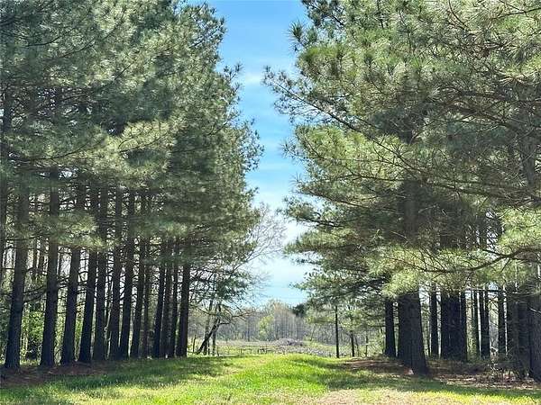 114 Acres of Improved Recreational Land for Sale in Idabel, Oklahoma