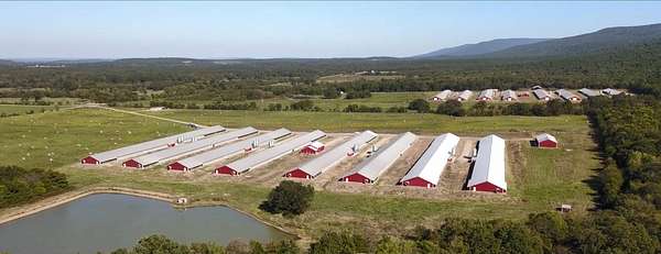 244 Acres of Improved Agricultural Land for Sale in Mansfield, Arkansas