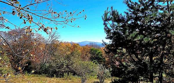 168 Acres of Recreational Land with Home for Sale in Stamford, New York