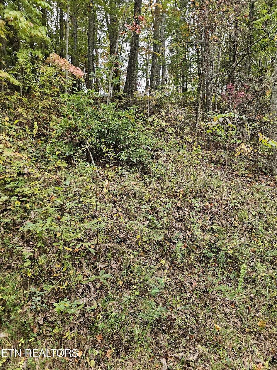 0.16 Acres of Residential Land for Sale in Tallassee, Tennessee