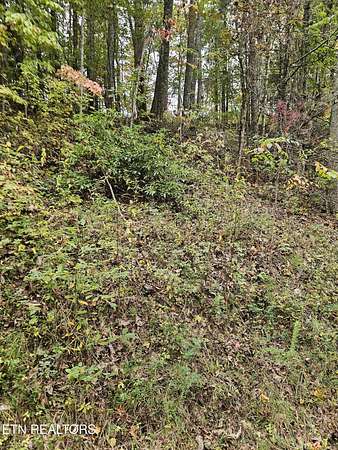 0.16 Acres of Residential Land for Sale in Tallassee, Tennessee