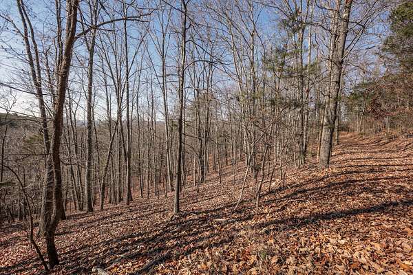 8 Acres of Land for Sale in Dayton, Tennessee