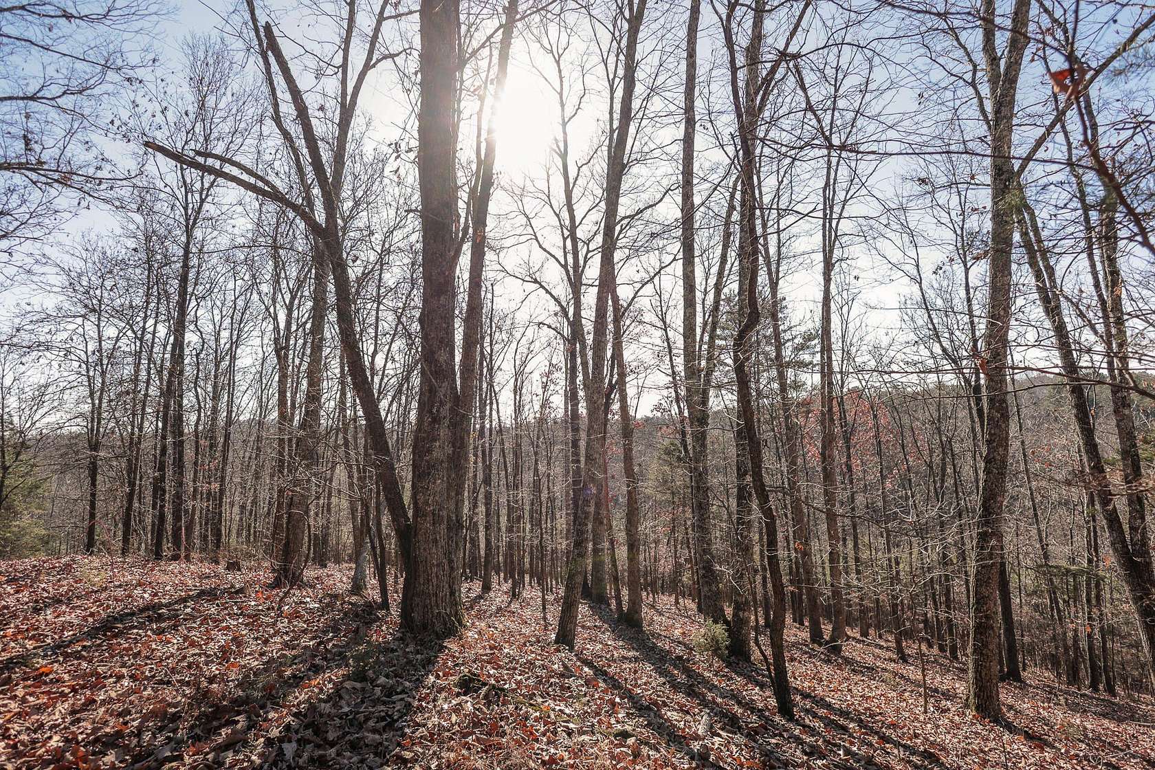 8.3 Acres of Land for Sale in Dayton, Tennessee