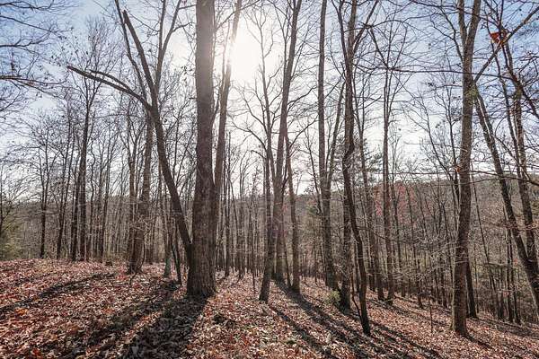 8.3 Acres of Land for Sale in Dayton, Tennessee