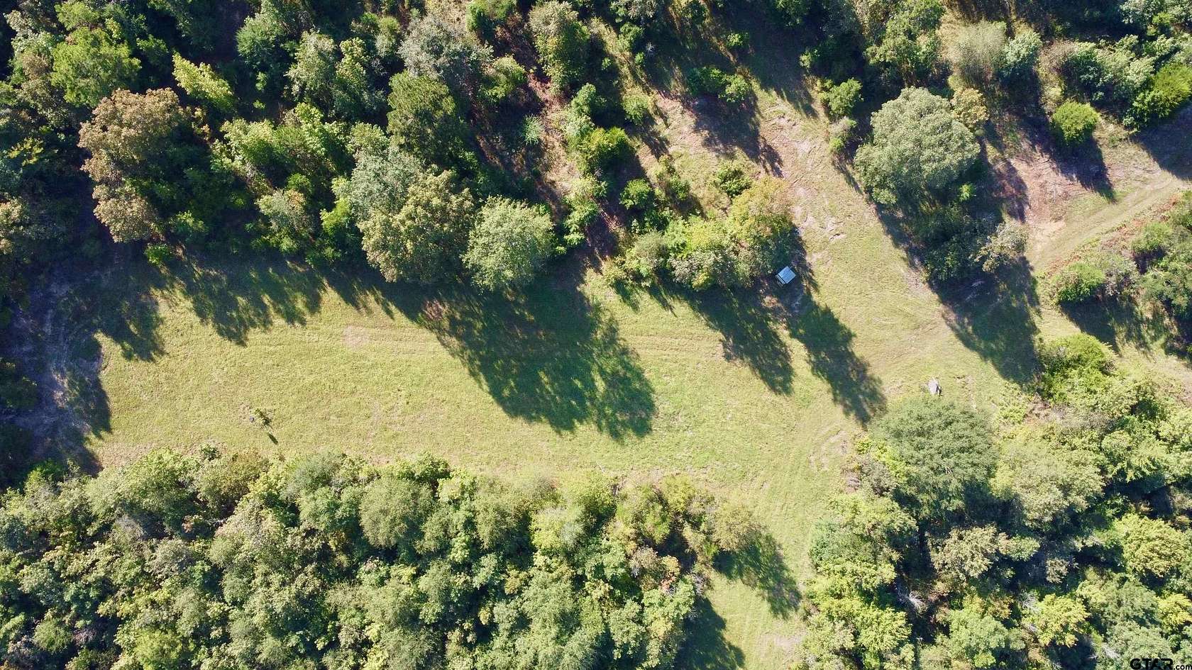 18.2 Acres of Recreational Land for Sale in Avinger, Texas