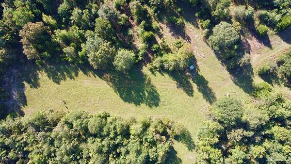 18.2 Acres of Recreational Land for Sale in Avinger, Texas