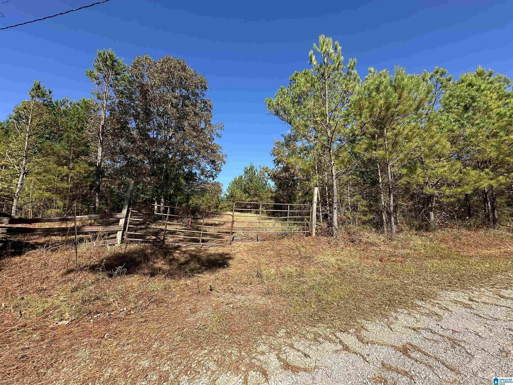 7.78 Acres of Land for Sale in Vincent, Alabama