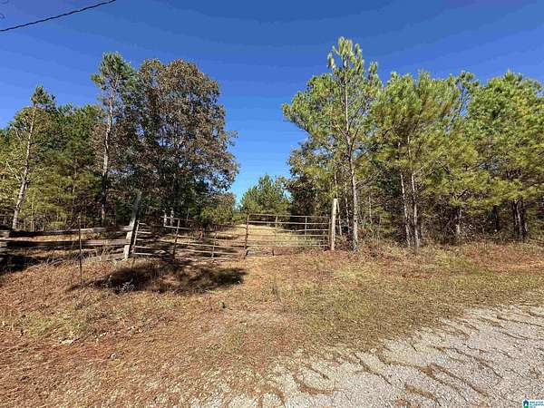 7.78 Acres of Land for Sale in Vincent, Alabama