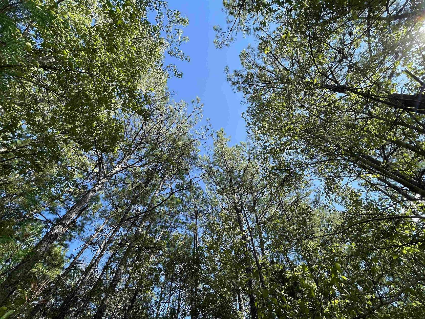 2.9 Acres of Residential Land for Sale in Jasper, Texas