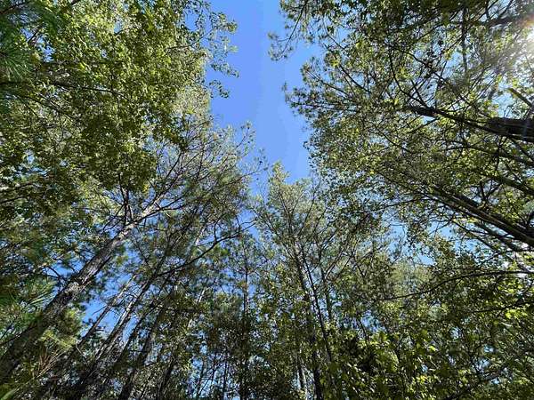 2.9 Acres of Residential Land for Sale in Jasper, Texas