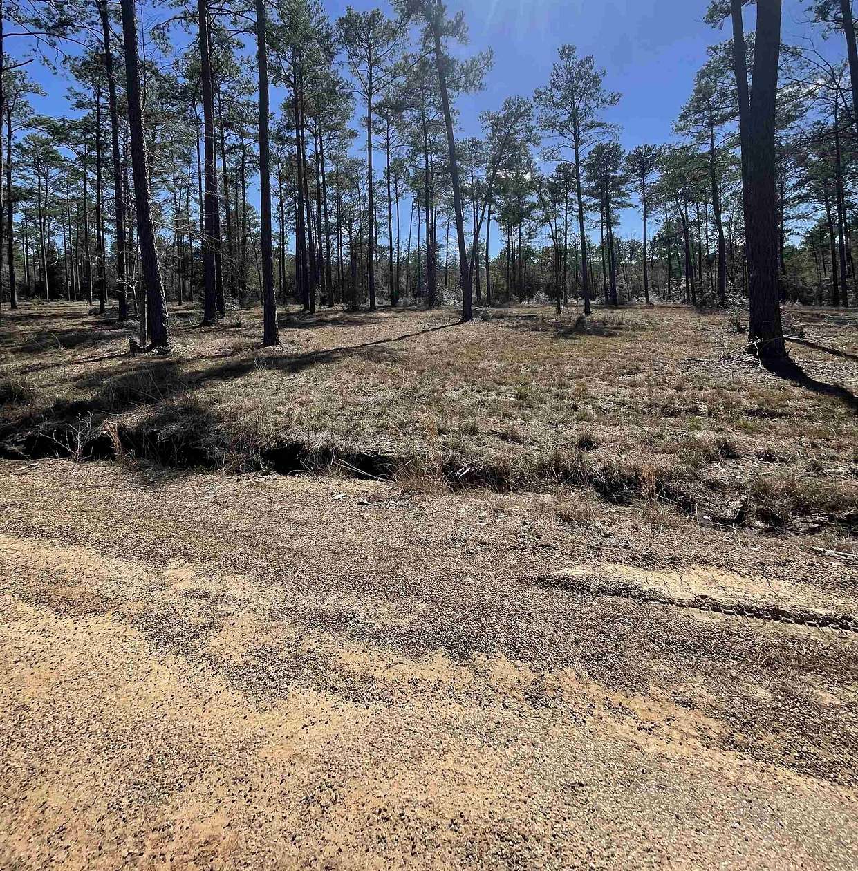 1 Acre of Residential Land for Sale in Brookeland, Texas