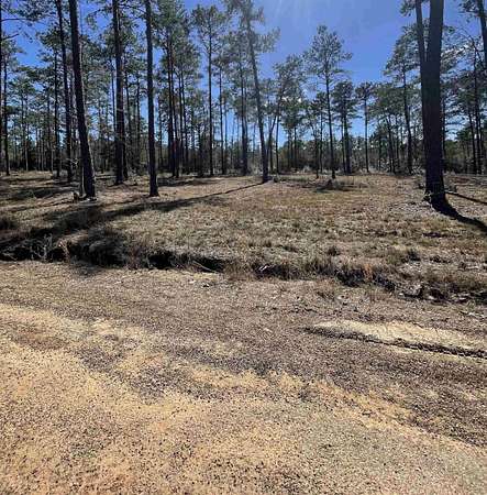 1 Acre of Residential Land for Sale in Brookeland, Texas