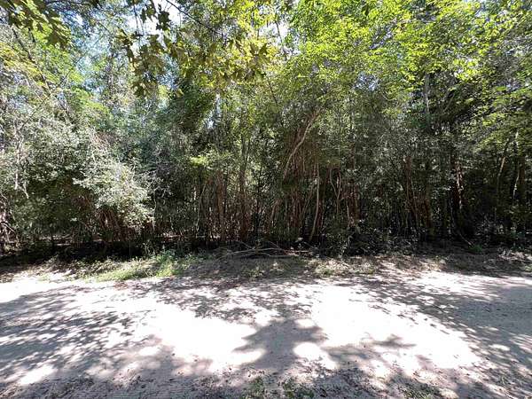 1.19 Acres of Land for Sale in Kirbyville, Texas