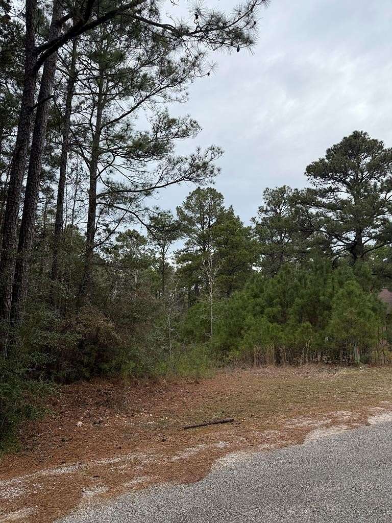 0.28 Acres of Residential Land for Sale in Brookeland, Texas