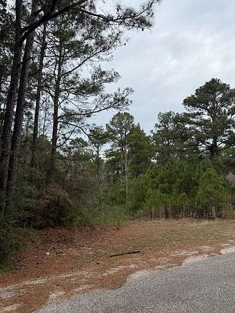 0.28 Acres of Residential Land for Sale in Brookeland, Texas