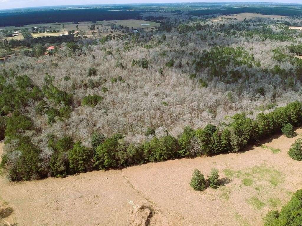 7.72 Acres of Land for Sale in Hillister, Texas