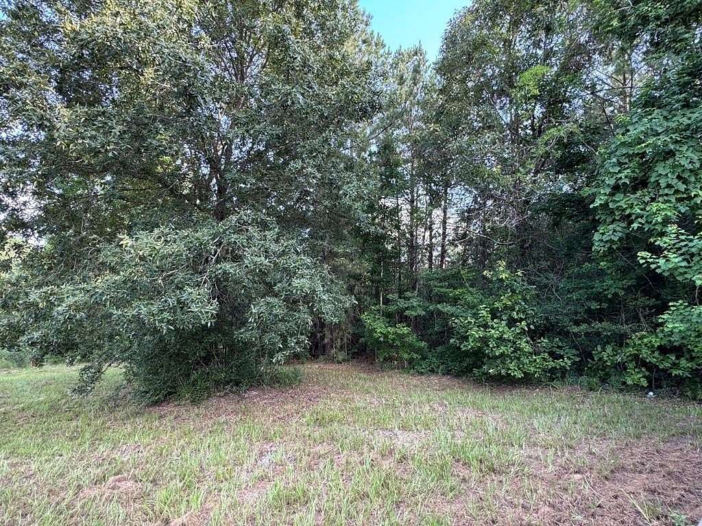 3.29 Acres of Residential Land for Sale in Brookeland, Texas