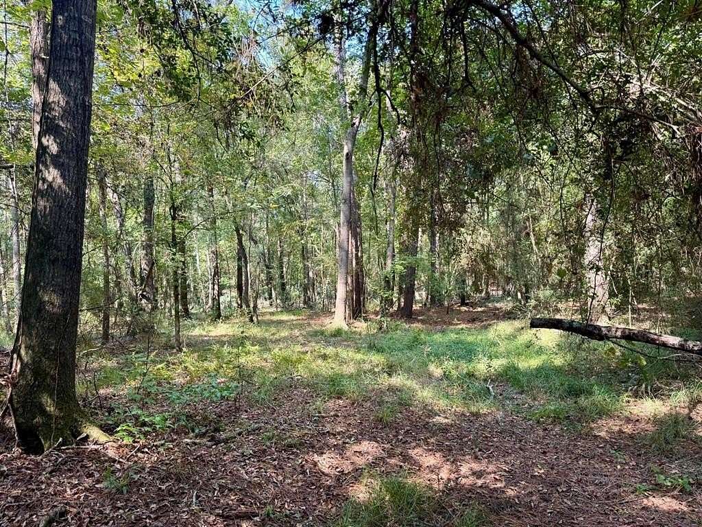 27.5 Acres of Recreational Land for Sale in Beaumont, Texas