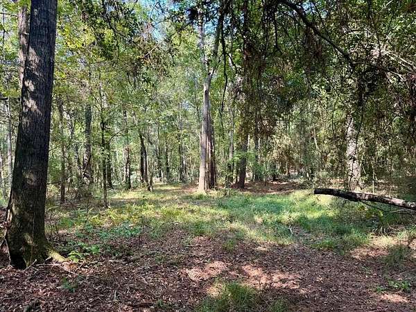 27.5 Acres of Recreational Land for Sale in Beaumont, Texas