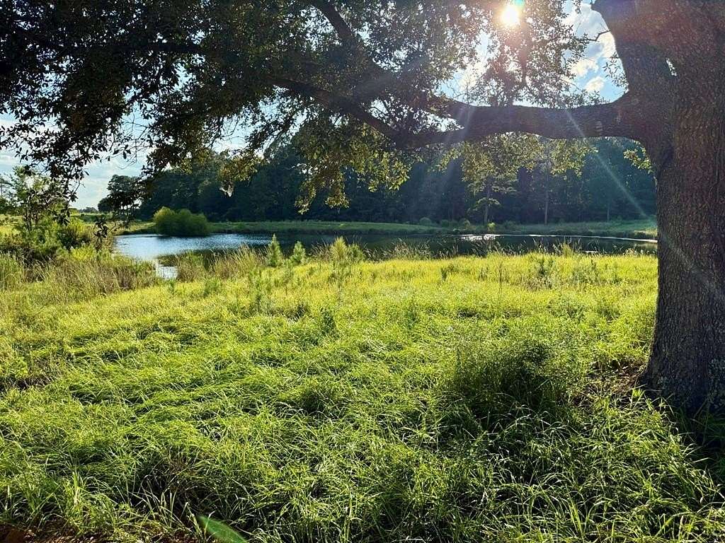 3.25 Acres of Residential Land for Sale in Hillister, Texas