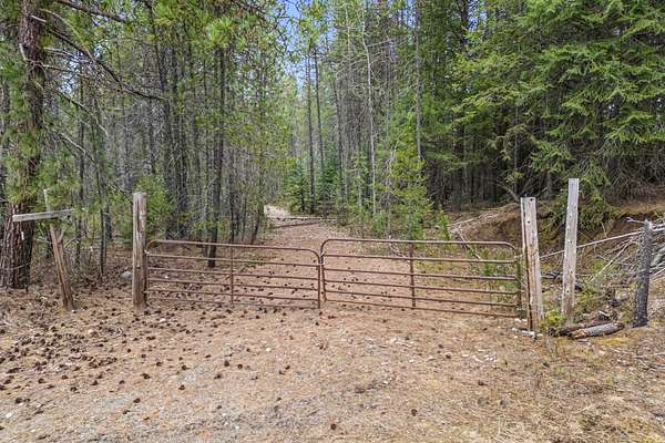 10.1 Acres of Recreational Land for Sale in Newport, Washington