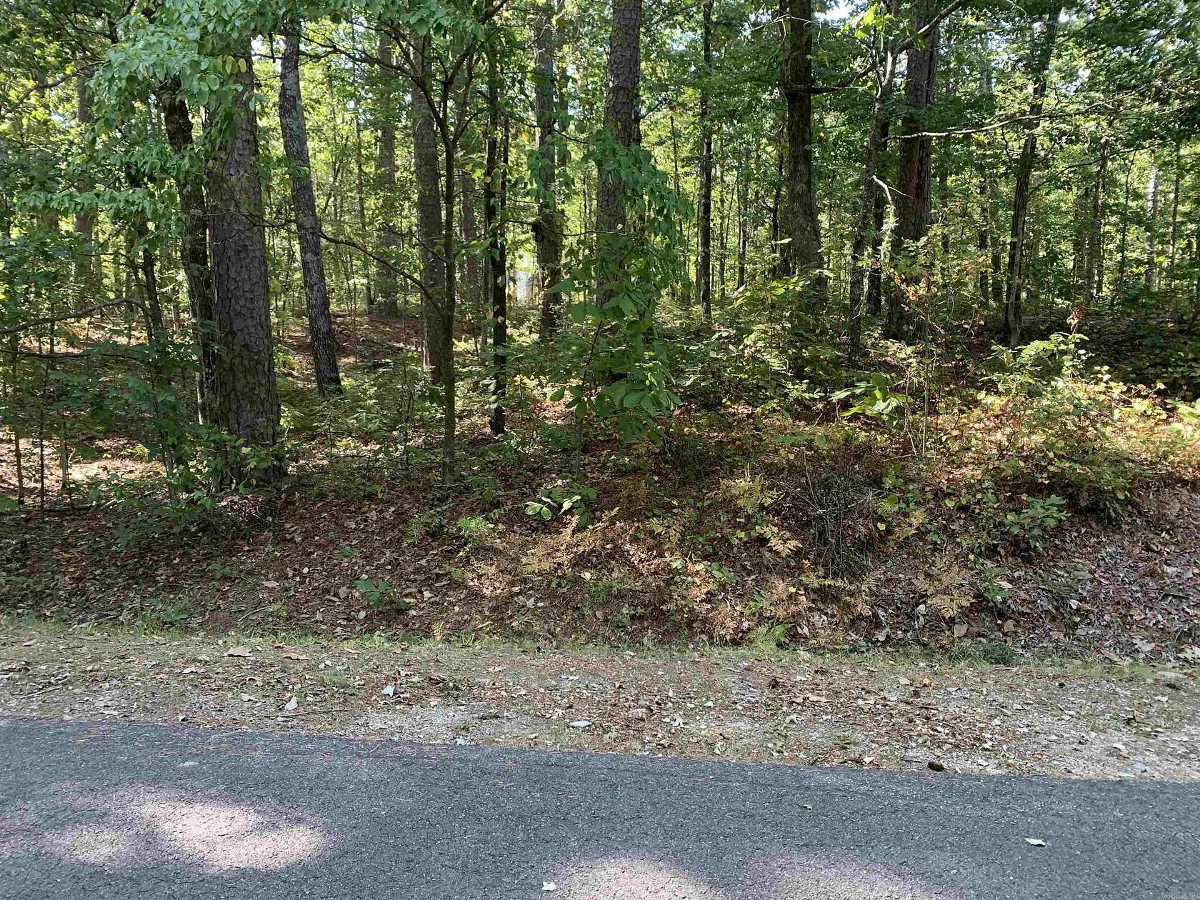 0.39 Acres of Land for Sale in Hot Springs Village, Arkansas