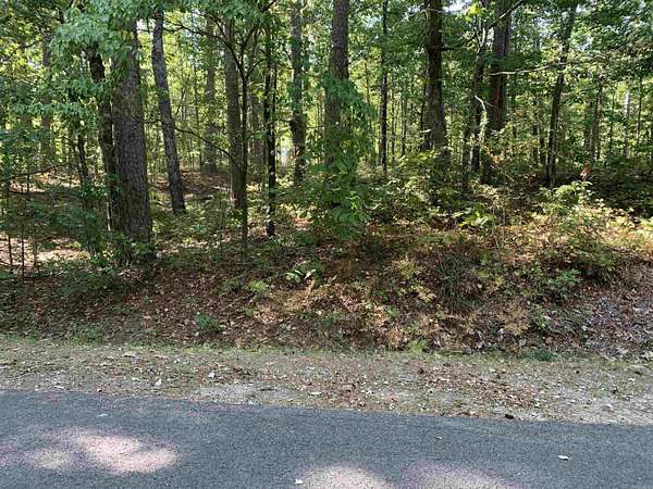 0.39 Acres of Land for Sale in Hot Springs Village, Arkansas