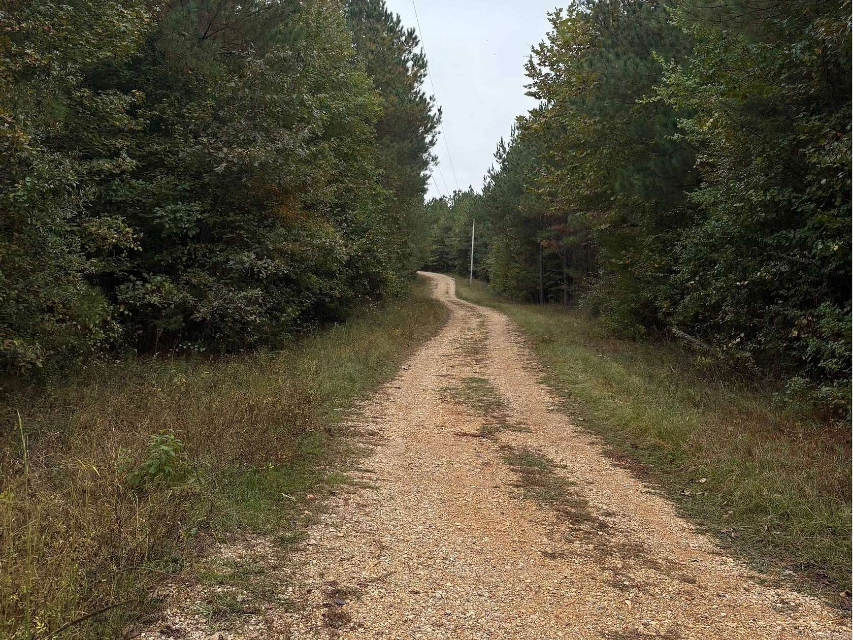 40 Acres of Recreational Land for Sale in Gurdon, Arkansas