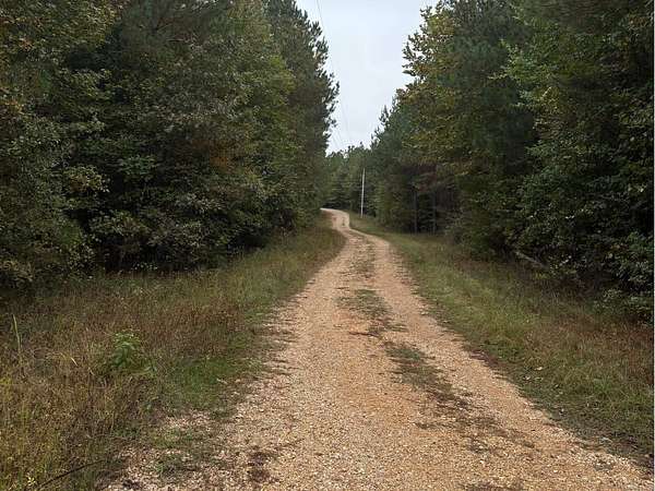 40 Acres of Recreational Land for Sale in Gurdon, Arkansas