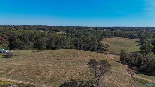 144 Acres of Agricultural Land for Sale in Horton, Alabama