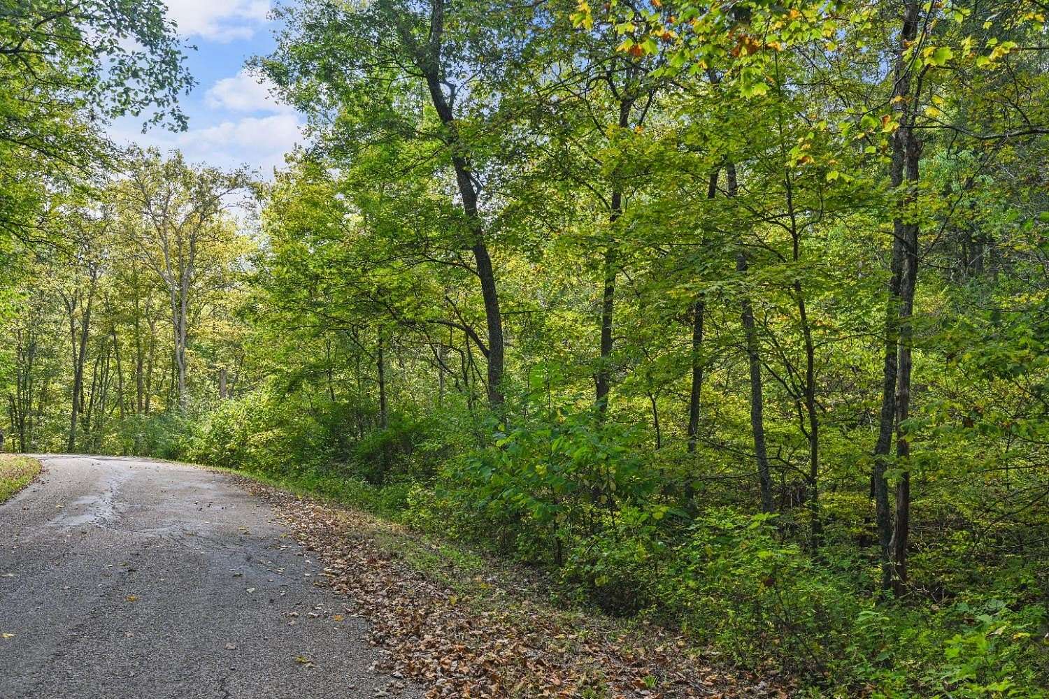 42.6 Acres of Recreational Land for Sale in Florence, Indiana