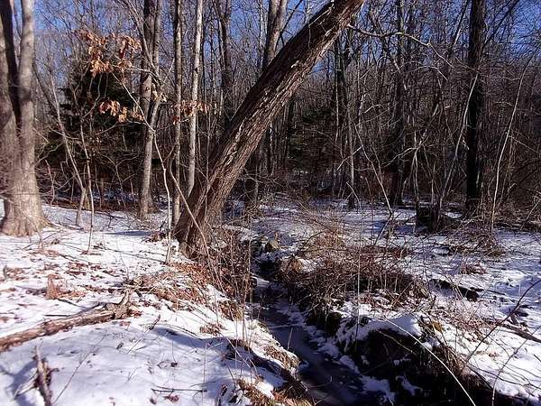 7.2 Acres of Residential Land for Sale in Millville, Massachusetts