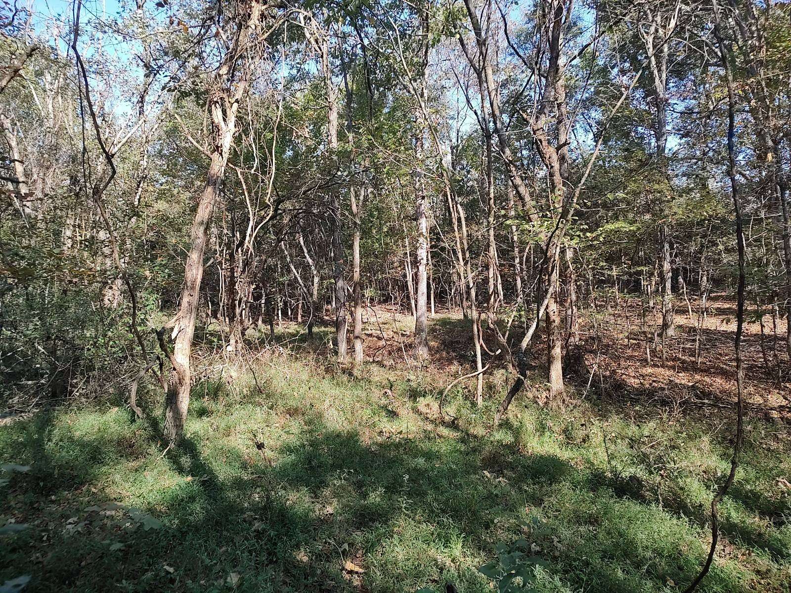 Land for Sale in Golconda, Illinois