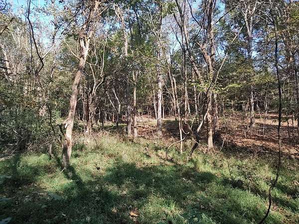 Land for Sale in Golconda, Illinois