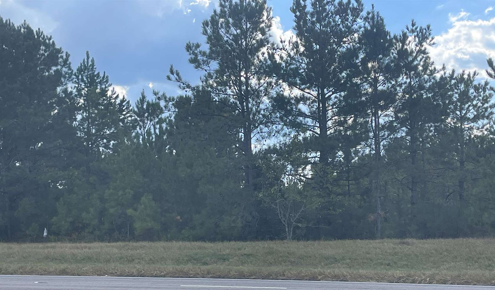 102 Acres of Land for Sale in Andalusia, Alabama