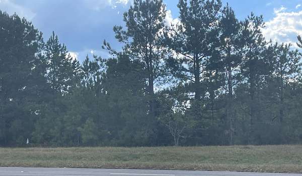 102 Acres of Land for Sale in Andalusia, Alabama