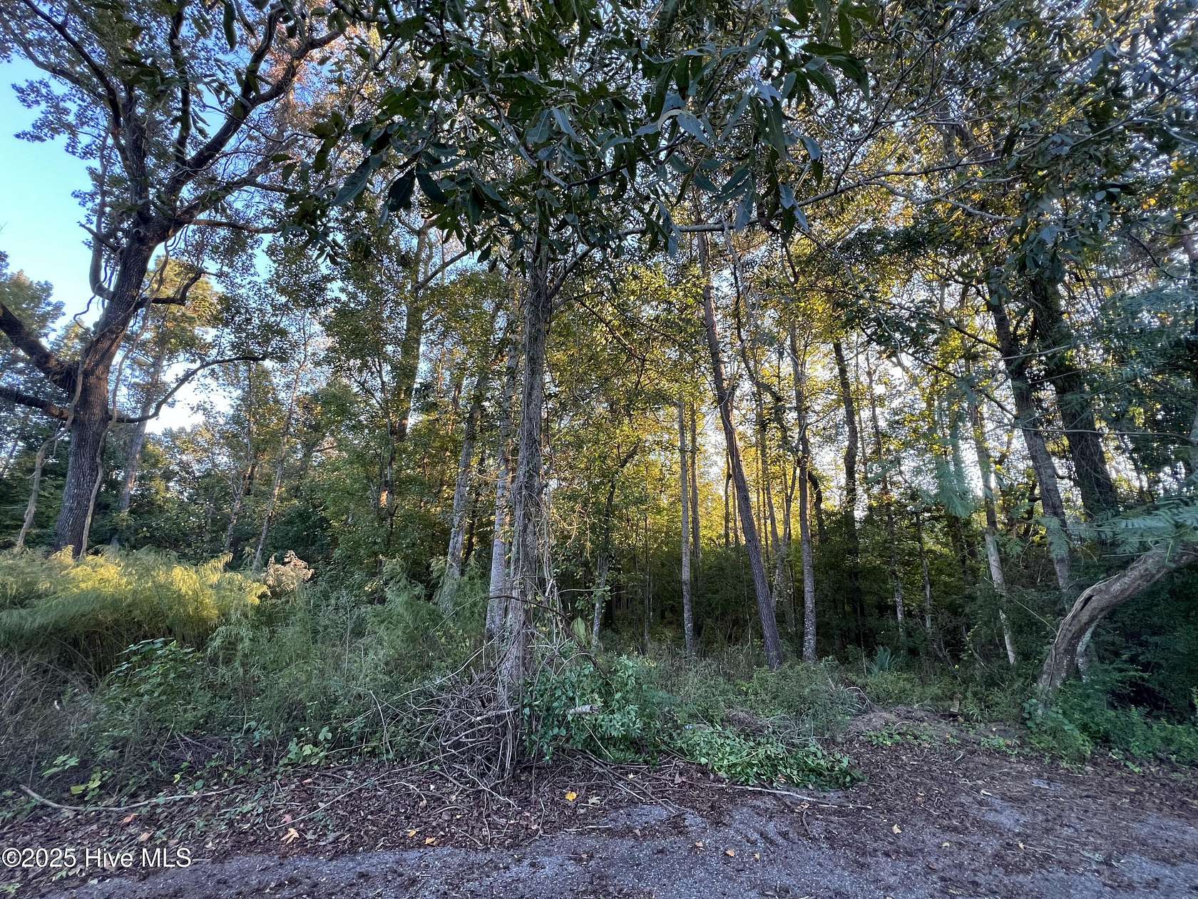 0.73 Acres of Residential Land for Sale in Wilmington, North Carolina