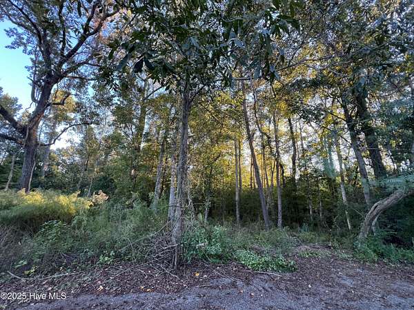 0.73 Acres of Residential Land for Sale in Wilmington, North Carolina