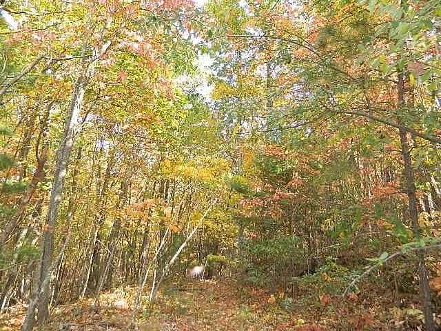 2.4 Acres of Land for Sale in Chilhowie, Virginia