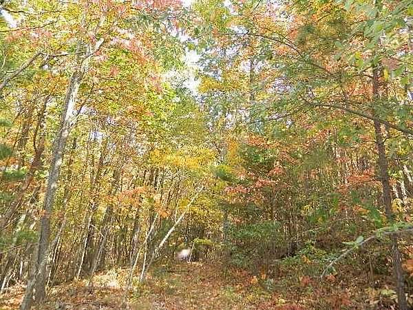 2.4 Acres of Land for Sale in Chilhowie, Virginia