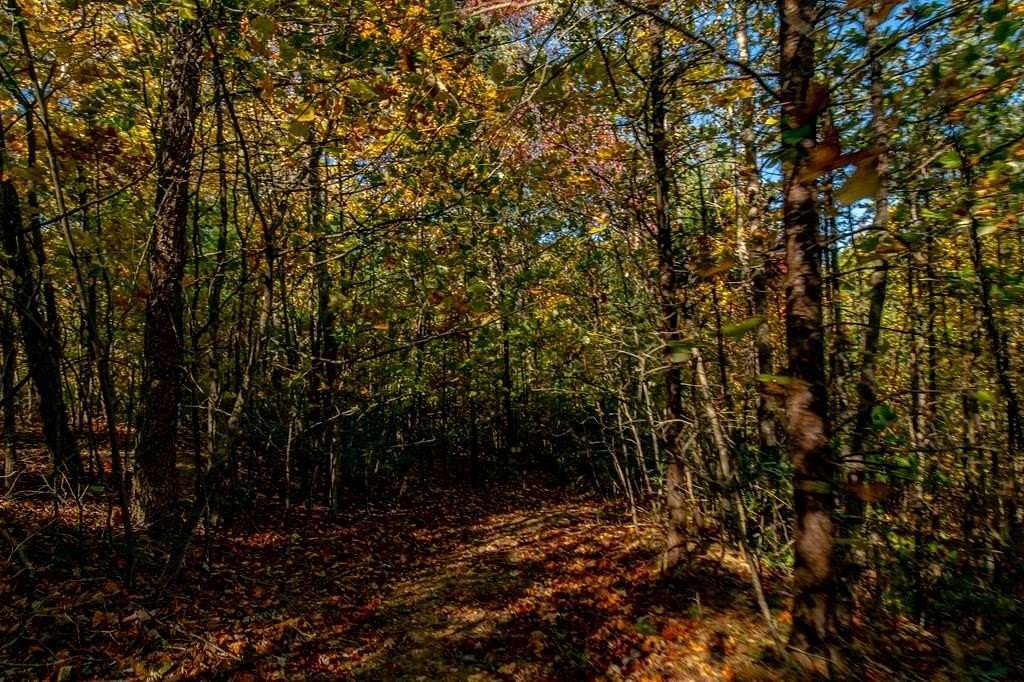 1.5 Acres of Residential Land for Sale in Fancy Gap, Virginia