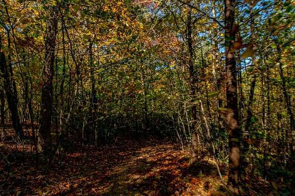 1.5 Acres of Residential Land for Sale in Fancy Gap, Virginia