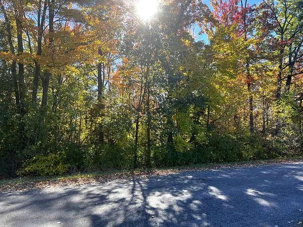 70.9 Acres of Recreational Land for Sale in Knowlton Town, Wisconsin