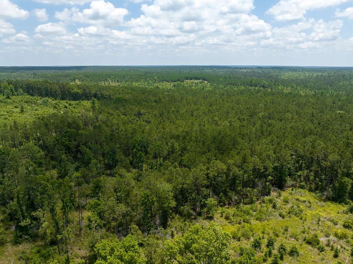 1,090 Acres of Recreational Land for Sale in Trinity, Texas