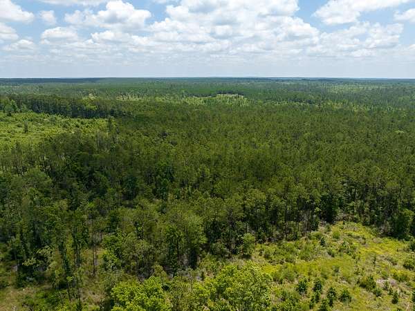 1,090 Acres of Recreational Land for Sale in Trinity, Texas
