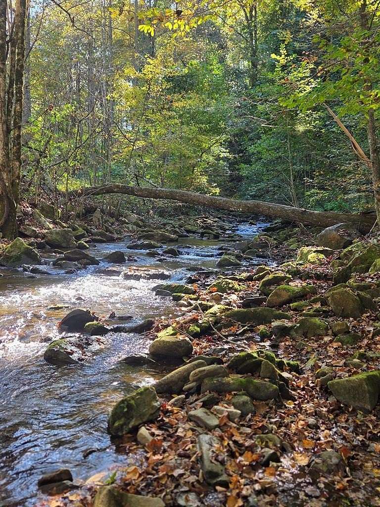 Land for Sale in Andrews, North Carolina