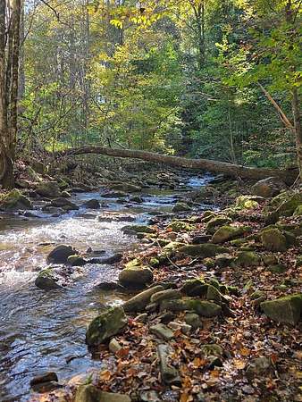 Land for Sale in Andrews, North Carolina