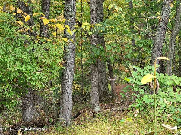 3 Acres of Residential Land for Sale in East Stroudsburg, Pennsylvania