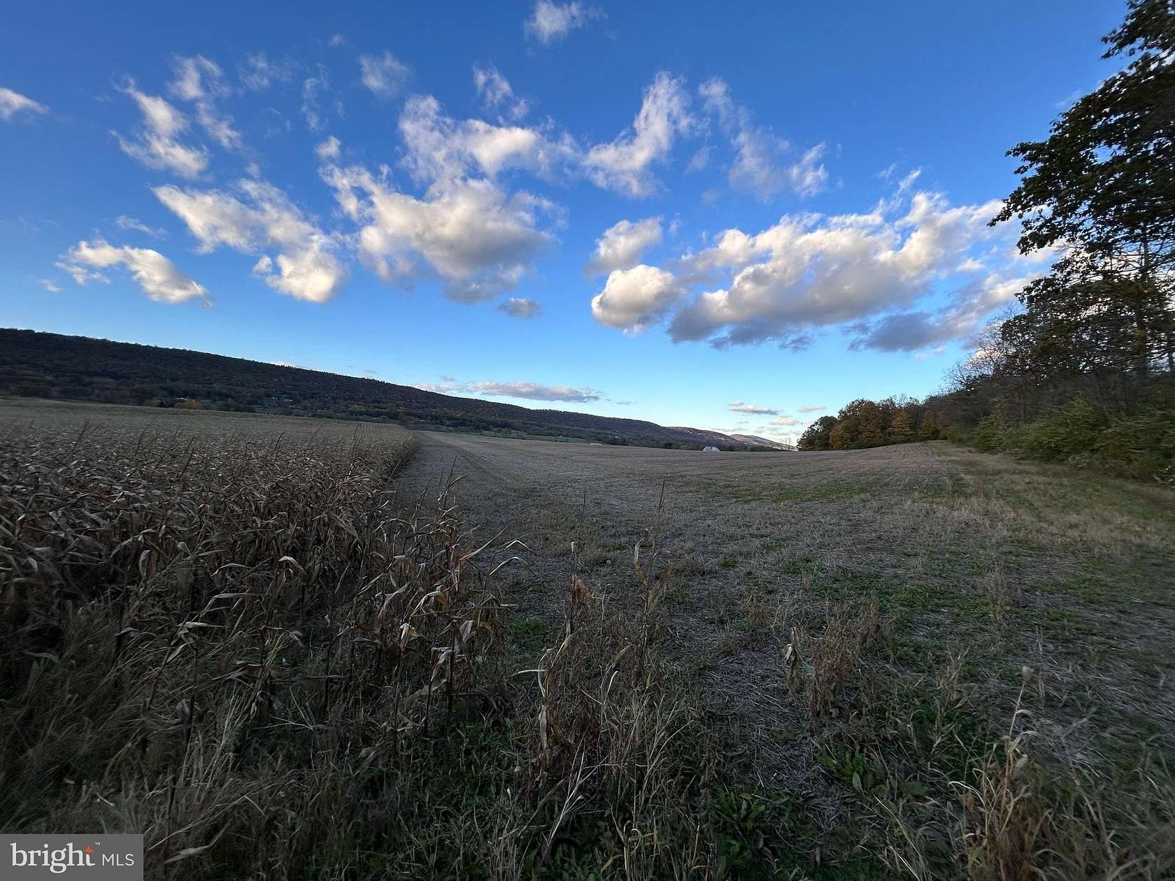 20 Acres of Land for Sale in Boalsburg, Pennsylvania