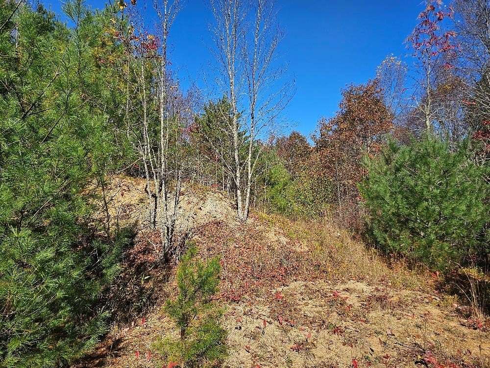 8 Acres of Residential Land for Sale in Independence, Virginia